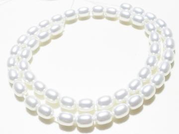 �V�R�΁��V�F���p�[���@���C�X�@�P�A