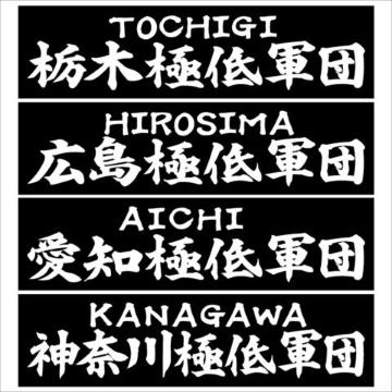 広島極低軍団 20センチ 2枚組