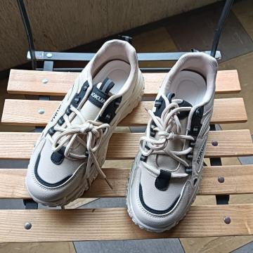 Vi 25cm fB[X Xj[J[ uE V[Y C [Jbg