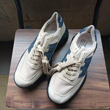 Vi 25cm fB[X Xj[J[ x[W V[Y C 