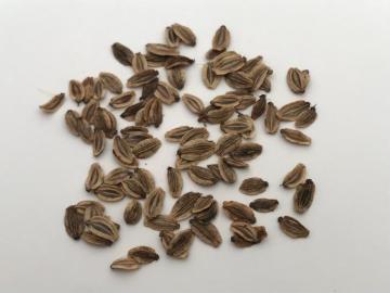 qEKgEL({RlQ)̎100ȏ(mFς݁I)