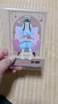 �X�p�C�t�@�~���[�����E�t�H�[�W���[�u���}�C�h