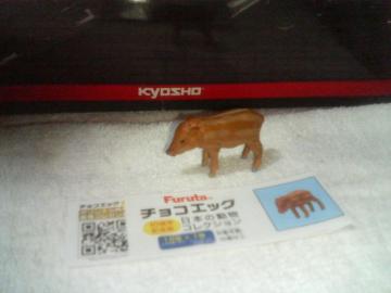  10th   {̓     ɼ  e    EV