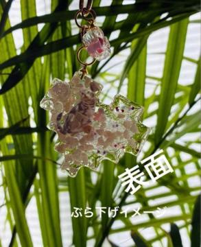 �A�����J���V���[�g�w�A�@�L�[�z���_�[�@��������