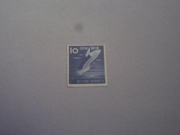 ygpz1953N@cqimjALO@PO~@P