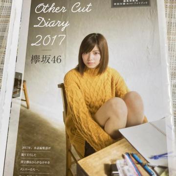 O46 2017 tHgubN@16y[W