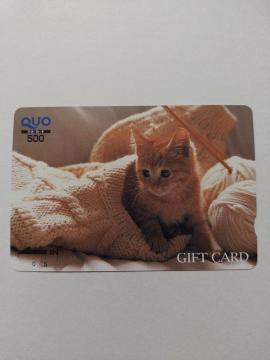 ���g�p���N�I�J�[�h���L��500�~����1����QUO�J�[�h��