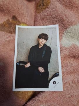 IMP.��r��ʐ^