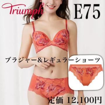 艿12,430~eEw̋CɂȂ邨oXgցyVizgvbh[x uW[&V[cE75 MQ_Zbg