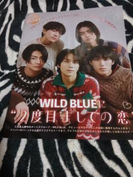 WILD  BLUE  ؂蔲@131