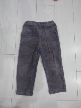 �R���T�C�Y�� �R�[�f�����C�p���c �O���[ ������꒷�Y�{��