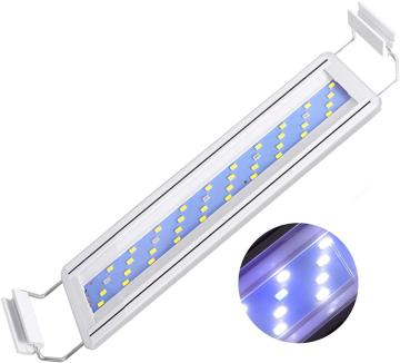 Cg 8W ANAE Cg 30`40CMΉ
