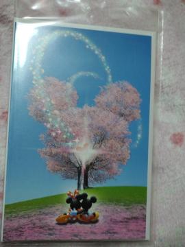 ディズニー ミッキー&ミニー ☆ お手紙セット 桜柄 B柄