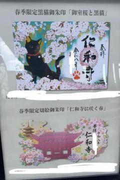 �����i����B�m�a���t�������Z�b�g