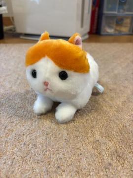 �̂�т�˂�����^�ʂ������