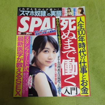 �T��SPA�I�G�@��񎏁@�o�b�N�i���o�[