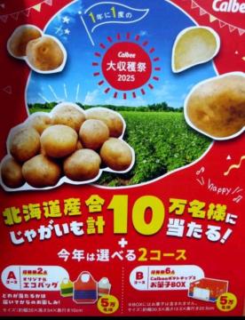 じゃがいも&エコバッグ/お菓子BOX当たる/22口