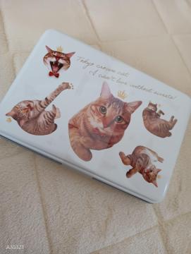 �V�i���J�� �����N���E���L���b�g �g���Y�����l �a�O�~�� 2026