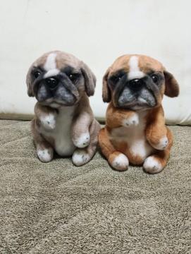 �y2�Z�b�g�z�p�O�ʂ������