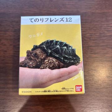 �Ă̂�t�����Y�@���j�K��