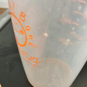 �V�F�C�J�[