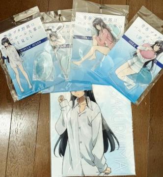 tu^Y̓oj[K[y̖Ȃ  ANX^h4 NAt@C4g