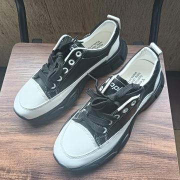 Vi 23.5cm fB[X Xj[J[ ubN V[Y C JWA