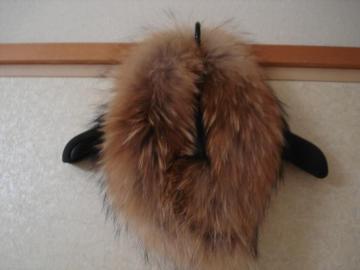 ӂӂt@[@I[hViIN[[bgiI