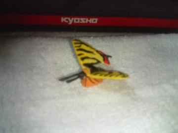 ����@  ���{�̓����ڸ���1                  ������