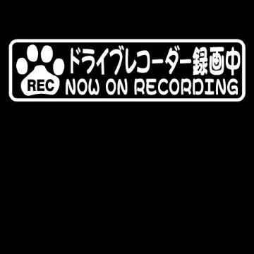 肉球 ドライブレコーダー録画中 15センチ