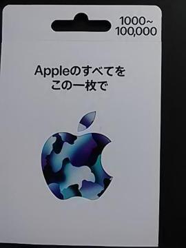 Apple�J�[�h1000�~���V�i���g�p�i
