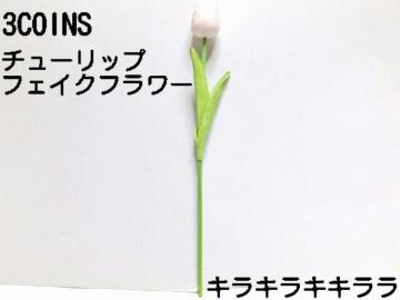 sNewt܂Ŗ{̂悤ȏ_炩ԂтƸް݁دߥ/̪ܰ<ܲā~ݸ>