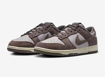 NIKE DUNK LOW g SE U[/XG[h