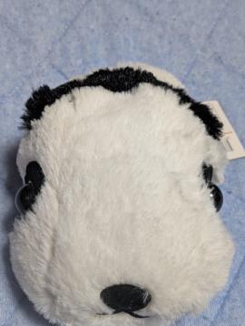 �̂قى����p���_�ʂ������