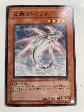遊戯王【光・光鱗のトビウオ】