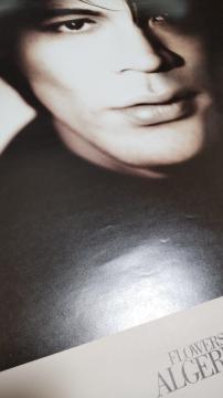 �X������@1st�A���o���@�uFLOWERS�@for�@ALGERNON�v�@�̑��pB2�|�X�^�[�@������