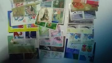 80~؎50Vigpi  8050[R7