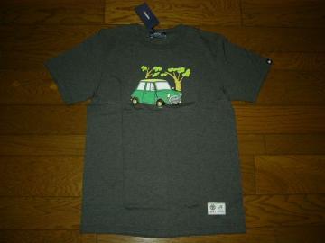 ViGOODENOUGHIVYObhCitvgTVcLCAR