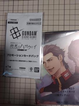 ����� �@����m�K���_�� �M���̃n�T�E�F�C �L���P�[�̖��� ����ғ��T �v�����[�V�����J�[�h�p�b�N �N�X�B�[ �A�����[�E�X �P�l�X