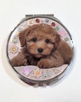 �g�C�v�[�h���苾������T�C�Y�@�@�g�C�v�[�h���@�@�v�[�h���@�@�@���@�@���W���苾�@�@�@���킢���苾�@�@�n���h���C�h�@�@�@���������@