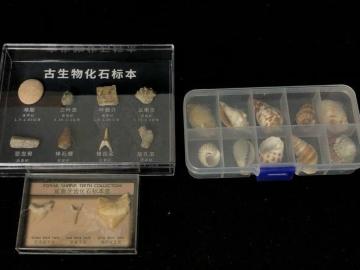 ����3�_�Z�b�g ���ΕW�{ �����̍� �O�t�� �T���̎� �L�k �W�{�� �R���N�V�����y�m��E�N�W�z�Ð������ΕW�{�Z�b�g 11���