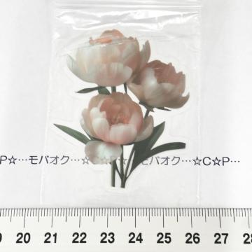 27*sװޭف@61
