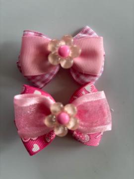 �������w�A�N���b�v��2��������