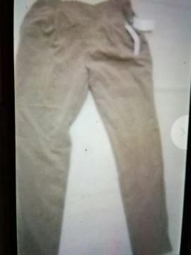 UNIQLO~Domani[Ă΁[LTCY@uEn
