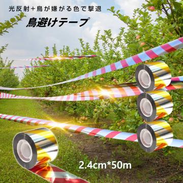 悯 e[v 50m 4 F ԐF Vo[ Px z   {  XY JX Ƃ悯 ObY AC