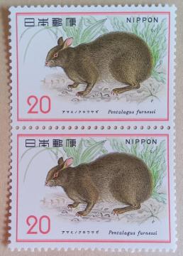 ��20�~�؎�~2���i40�~���j���@���A�}�~�m�N���E�T�M��