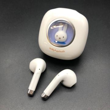  miffy TD17 CXCz