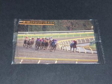 �y���J���z�܂˂��n��y�� �܂˂��n�J�[�h ���M�����[�J�[�h No.570 ��1��W���p���J�b�v�_�[�g