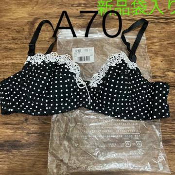 �V�i�ܓ���@A70 �����ʃu���W���[�@�f�B�m�X�Z�V�[���@���C���[����@�J�W���A���u���W���[