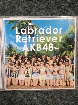 AKB48ラブラドール レトリバー